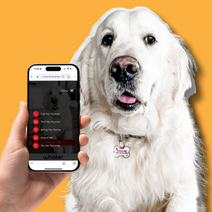 NFC PET TAG (Dog Bone)